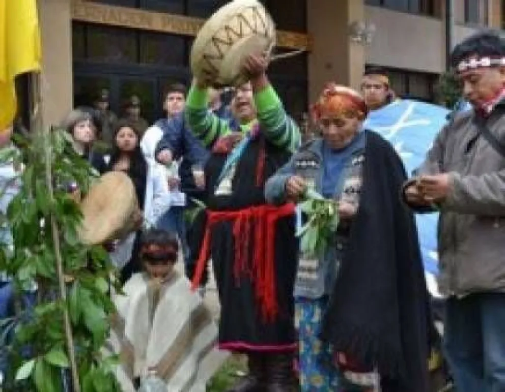 Piden facilitar ingreso de plantas medicinales a comunidades mapuches
