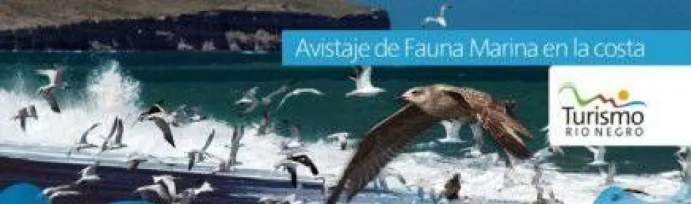 Provincia presenta su renovado portal de turismo, cultura y deporte 