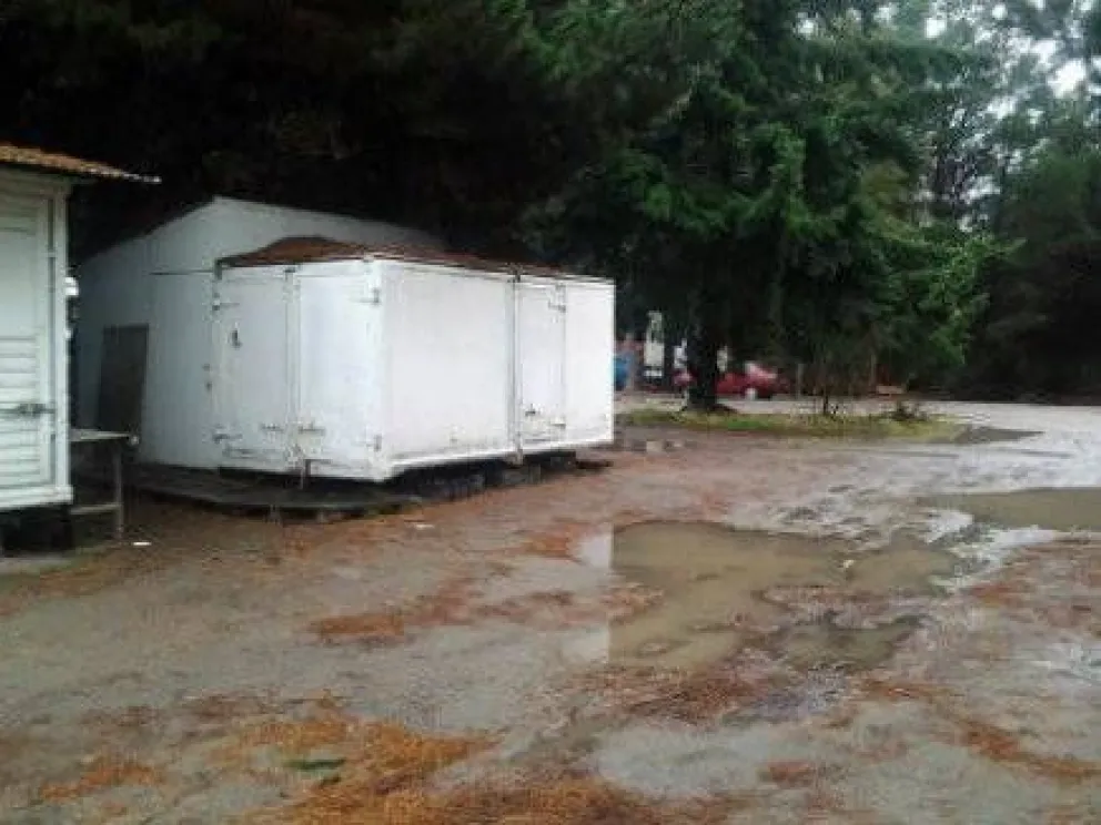 Clausuran depósito clandestino de carnes y destruirán mercadería 