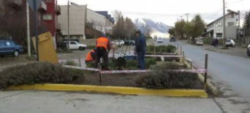 Embellecen espacios verdes