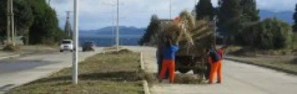 Siguen desmalezando el bulevar  de calle Esandi