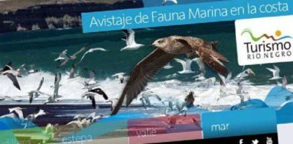 Turismo presentó su nuevo sitio web 