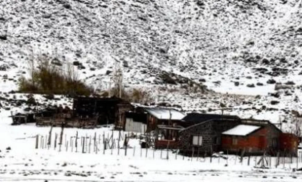 Neuquén declaró el "alerta máxima" y en Chile evacuarían al ganado