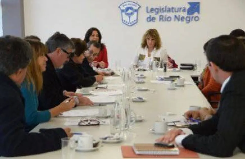 Quieren incorporar requisitos para la presentación de proyectos de declaración