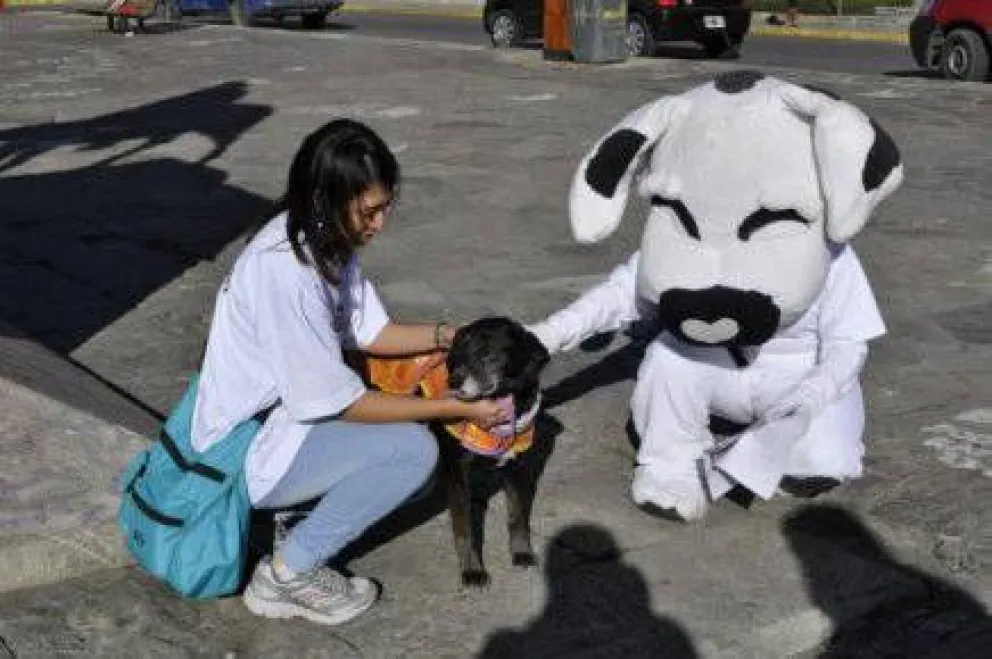 Celebraron en Bariloche el Día del Animal 