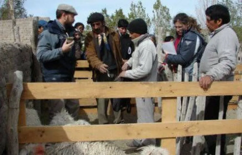 INTA Bariloche en la Fiesta de la Cabra y la Artesanía