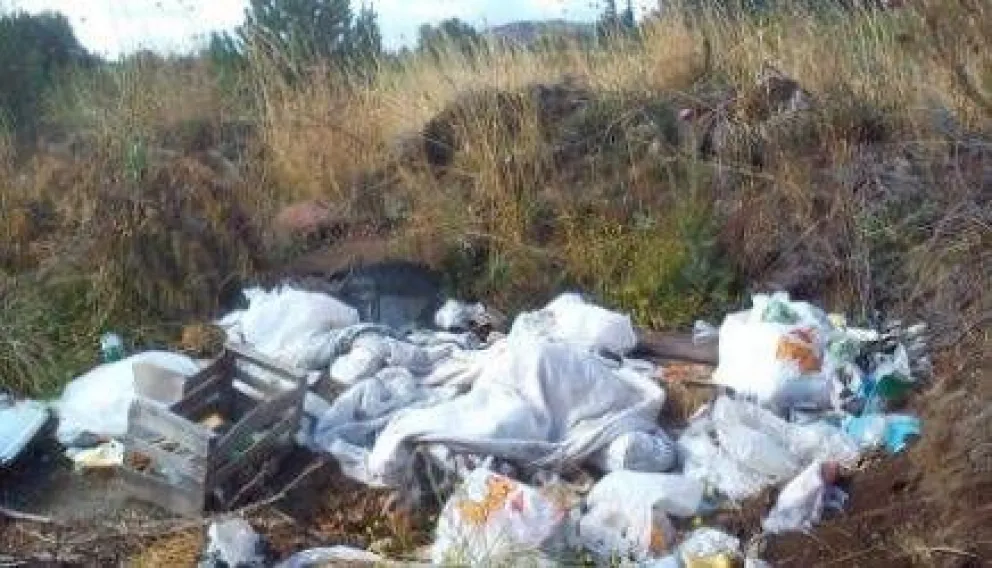 Impulsan jornada de limpieza para "erradicar los basureros clandestinos" 