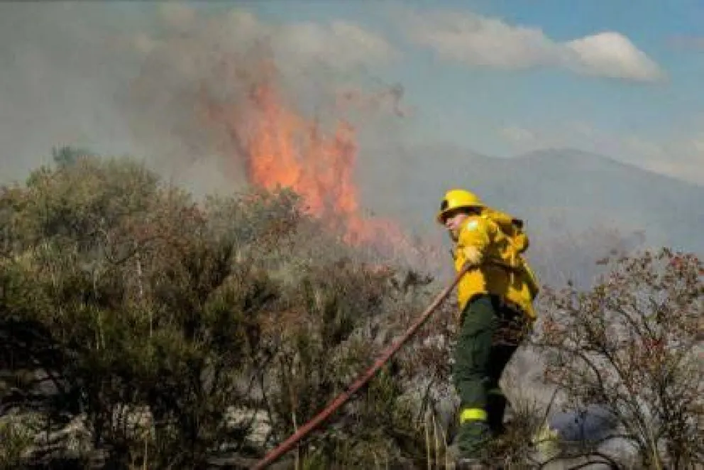 Incendio destruyó importante superficie de pastizales 