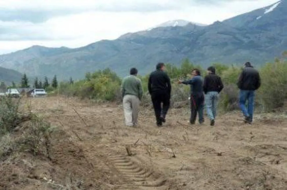 Cooperativas reclaman ser incluidas en las 26,5 hectáreas