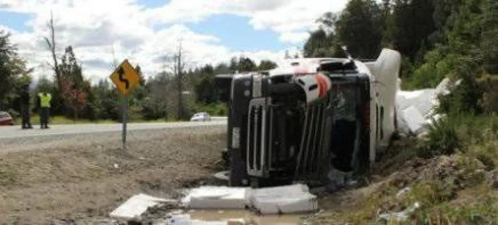 Camión volcó en la ruta 40 