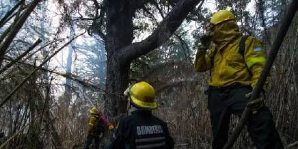 Incendio en el cerro Otto está "contenido"
