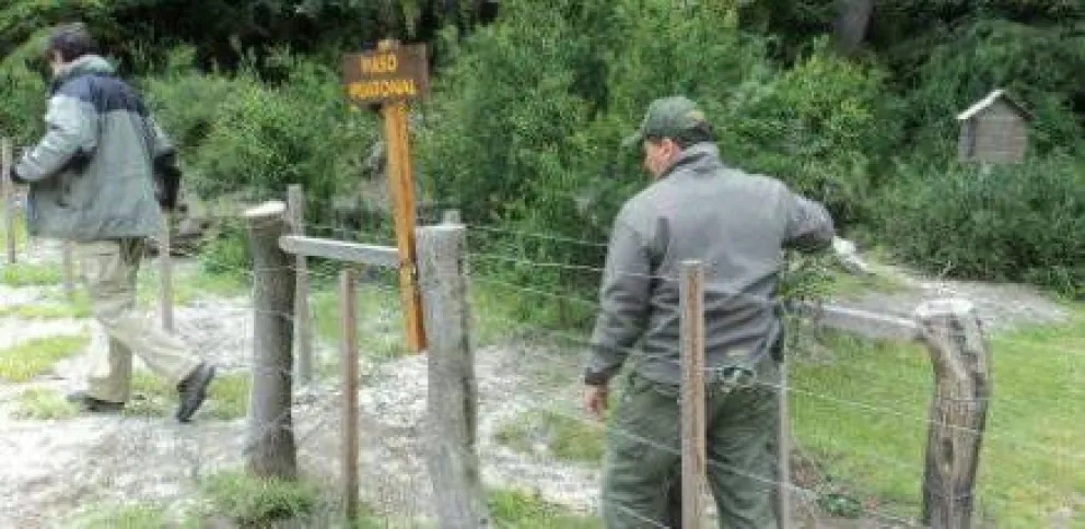 Mejoran pasos peatonales 