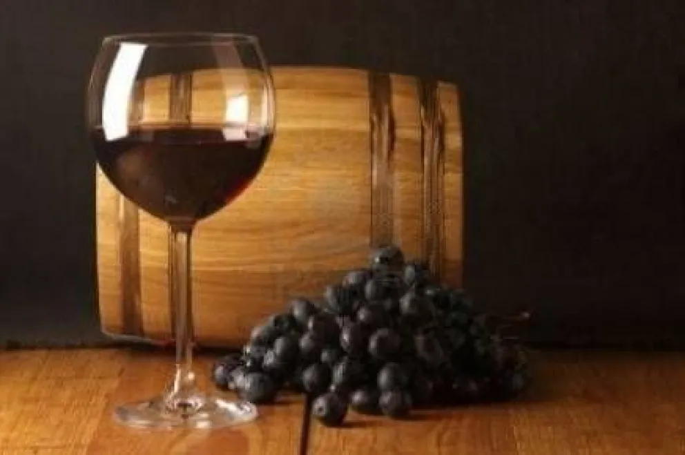 Cómo hacer nuestro propio vino: Introducción y materiales