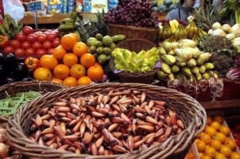 El piñón, un ingrediente ancestral