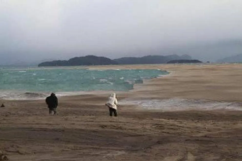 Técnicos y científicos analizaron el impacto de las cenizas en el ambiente