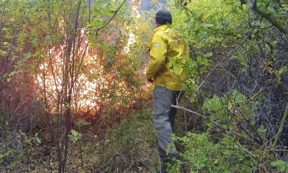 Promueven escalafón para combatientes de incendios