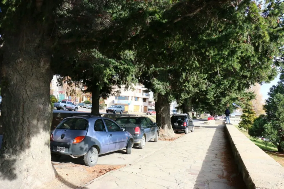Zona donde se produjo el accidente