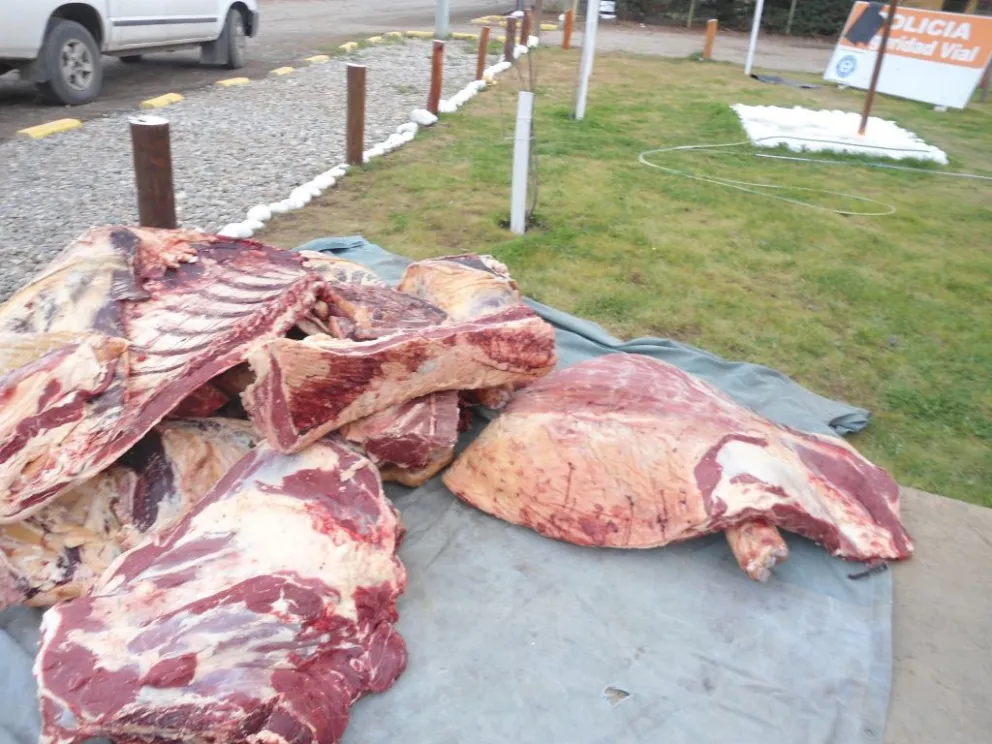 Decomisan más de 200 kilos de carne faenada y recuperan un auto robado