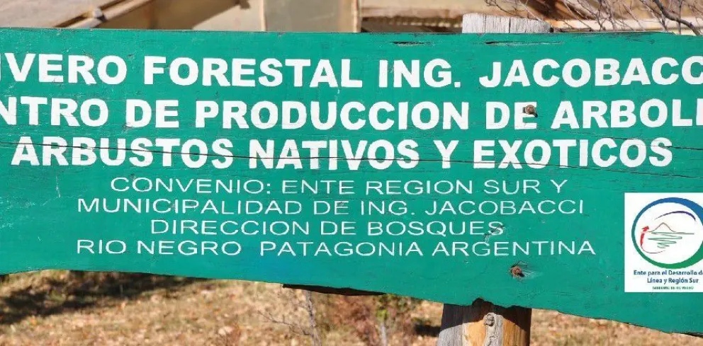 Viveristas se capacitan