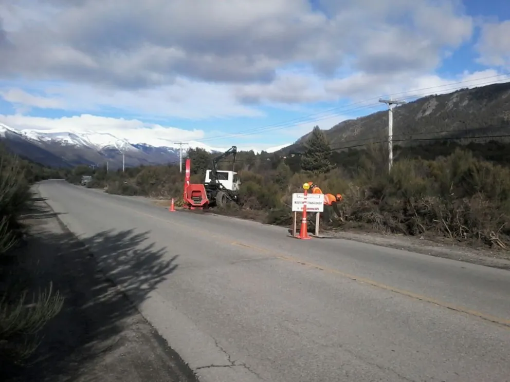 Comenzaron desmalezamiento y poda en Circuito Chico y ruta 82