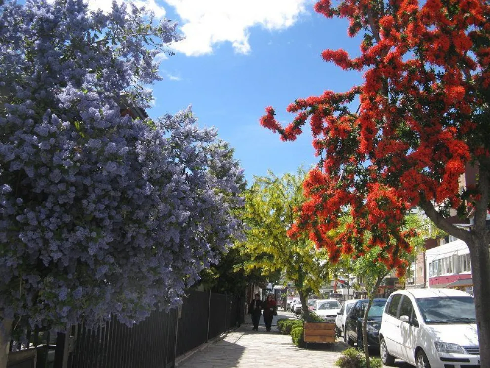 Comienza la Semana del Árbol en Bariloche