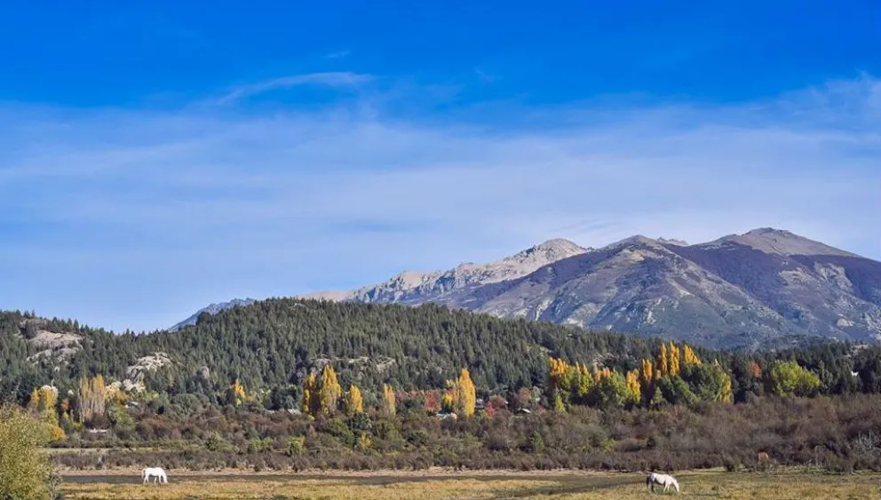 Foto: Facebook Bariloche. Quiero estar ahí. 