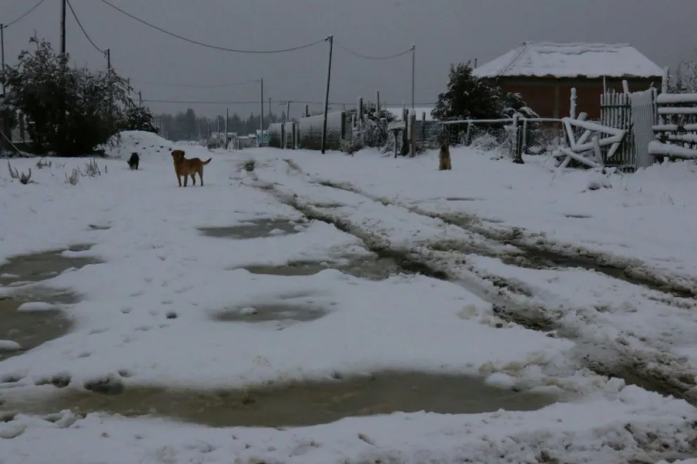 Nieve en la ciudad.