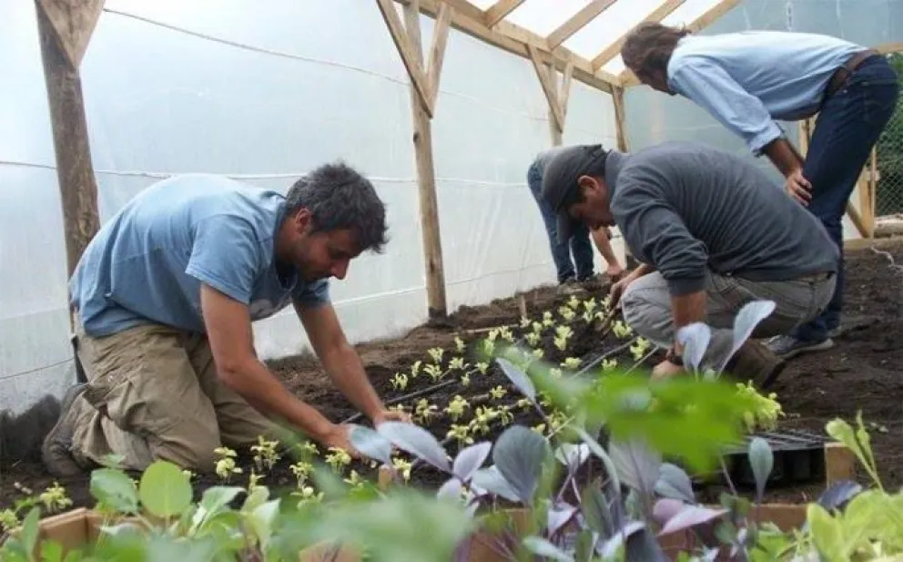 El Centro Demostrativo del Vivero Municipal queda en Rivadavia S/N, barrio Vivero.