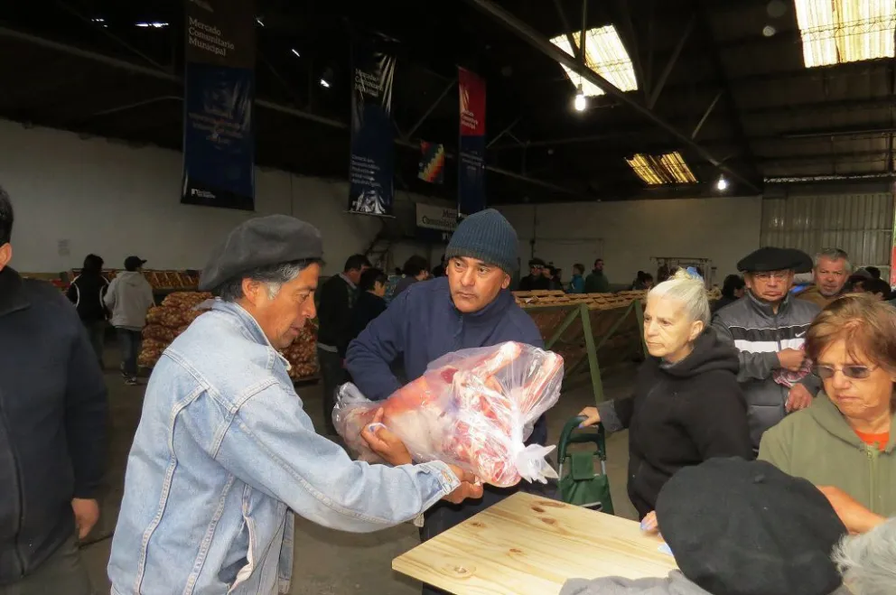 Lechones de la Línea Sur en el Mercado Comunitario