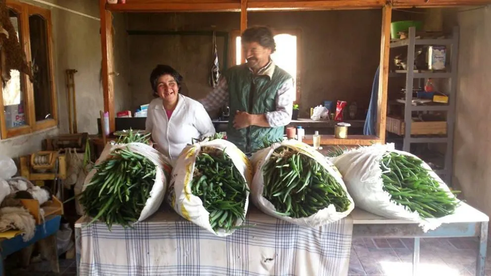 Los productores del paraje Corralito ofrecen sus verduras en el Mercado Comunitario.