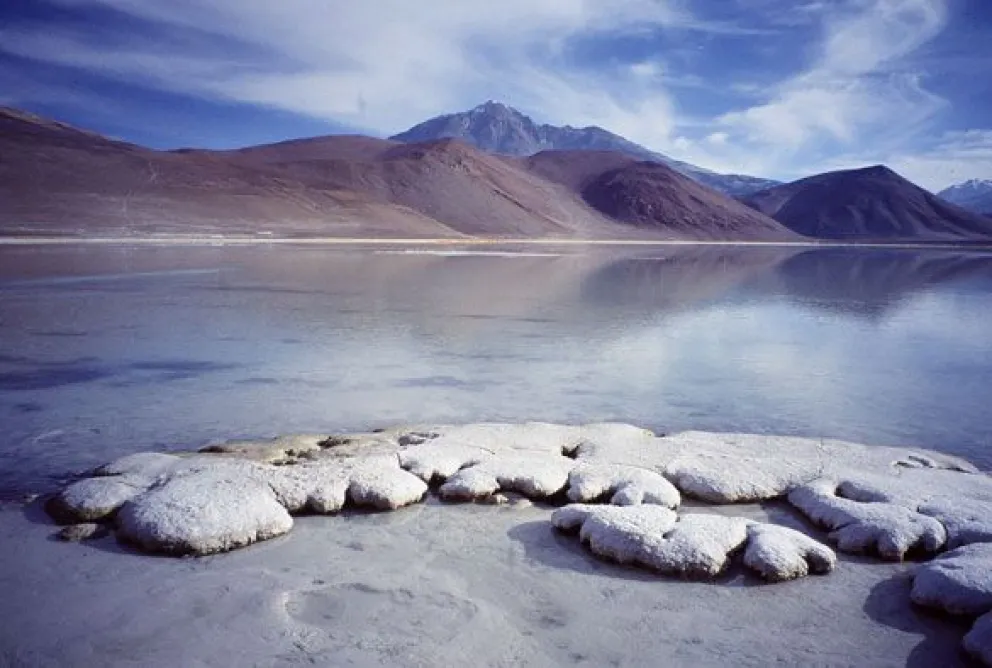 El origen de la vida: continentes desiertos y la evolución desde el mar a la tierra