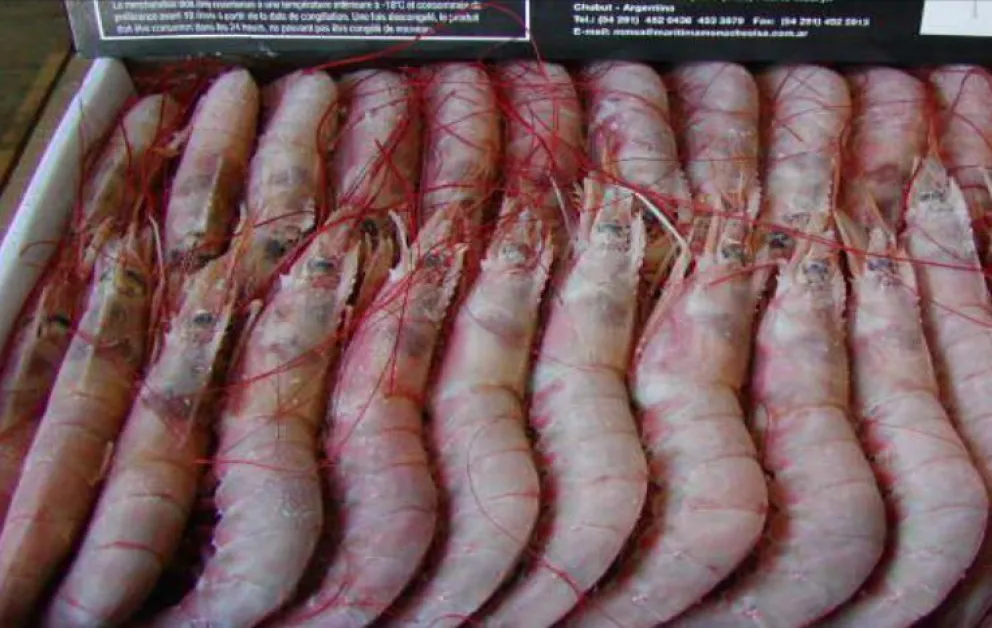 Pescados y mariscos de Mar del Plata, hoy y mañana en el Mercado Comunitario