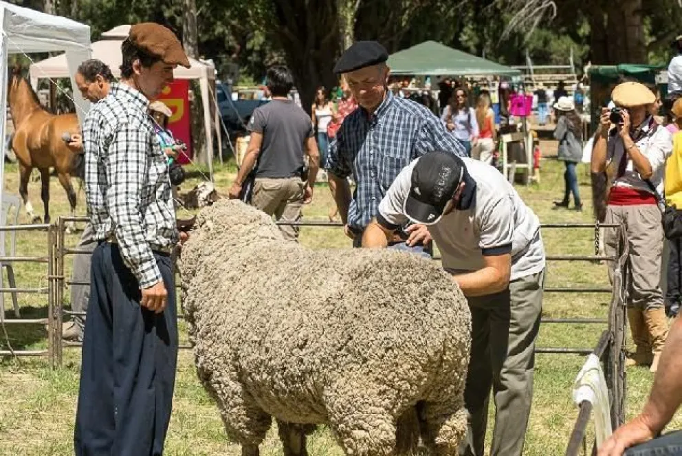 Inscriben animales para participar de la Exposición Rural de Bariloche