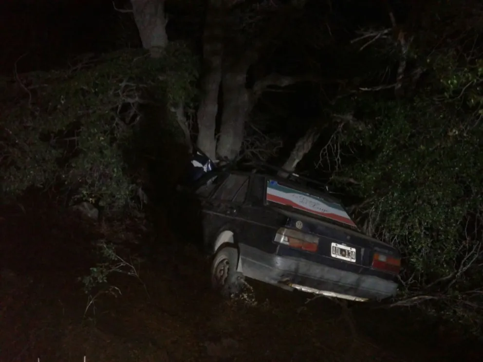 Auto impactó con un buey y chocó contra un árbol