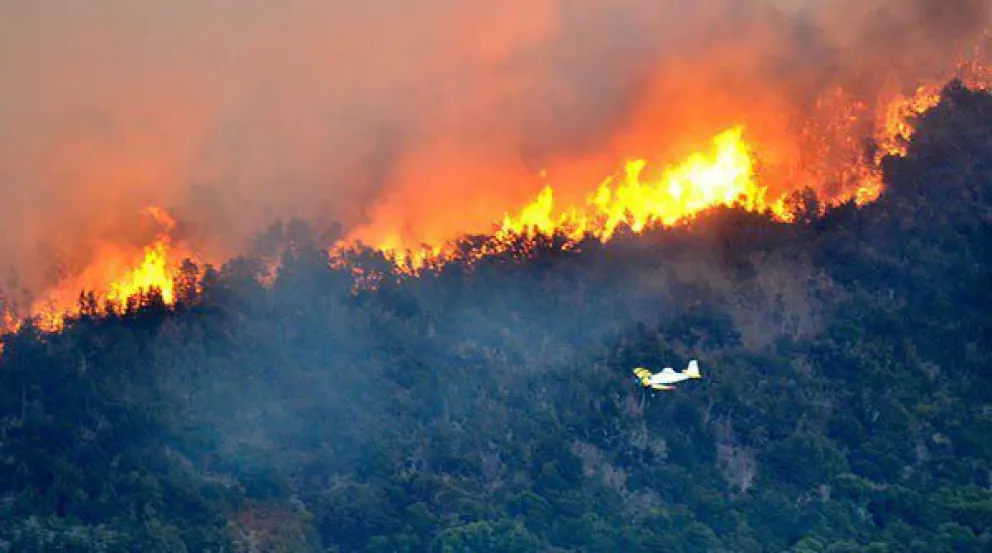 Foto: gentileza.