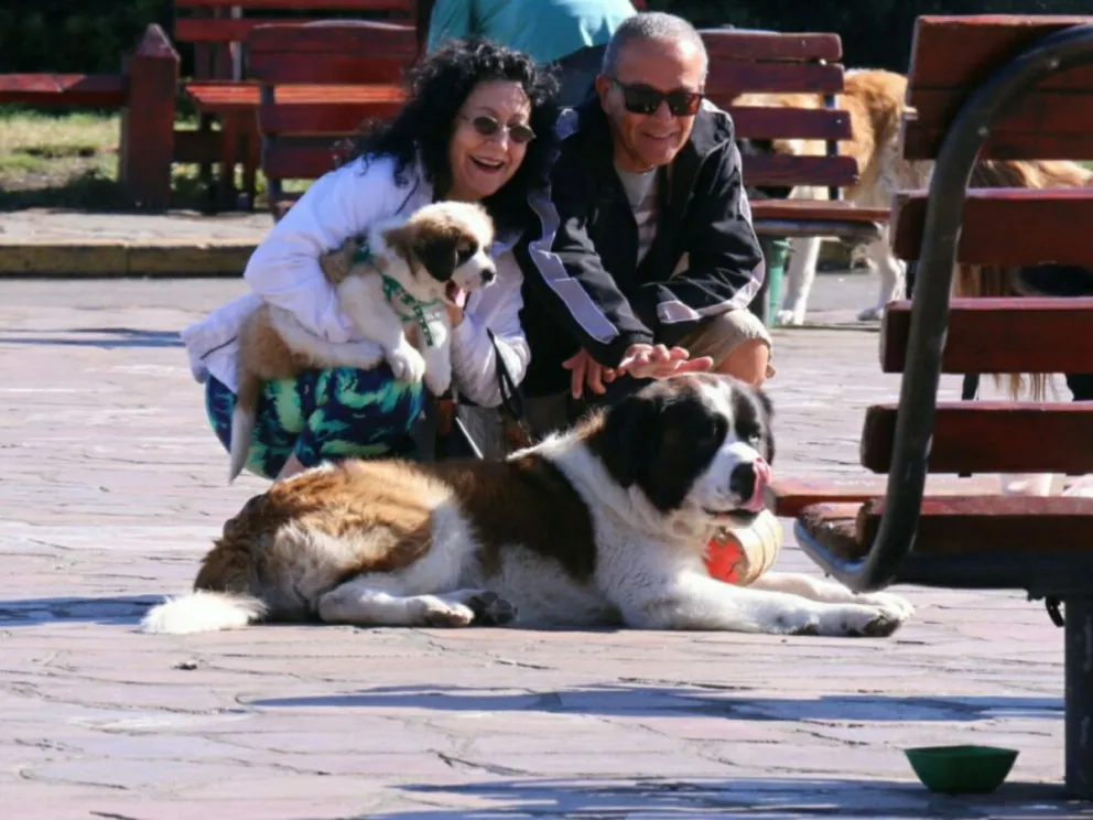 Piden postergar nuevamente el cobro de la tasa al turista