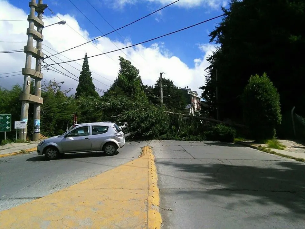 Foto: Emiliano Rodríguez.