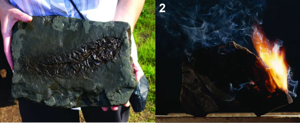 Fósiles de la energía pasada, el combustible fósil