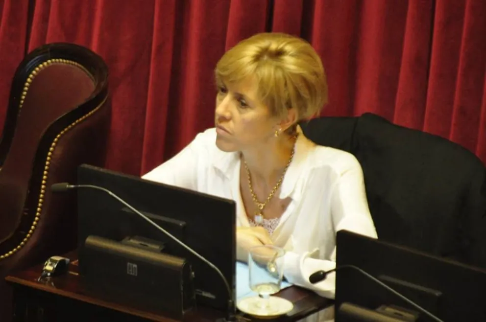 “Es fundamental que el flujo de recursos continúe”