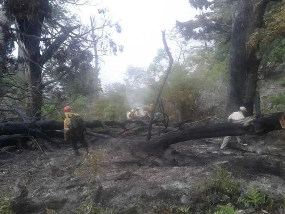 Ciudades de la región utilizarán el protocolo de Bariloche para abordar incendios