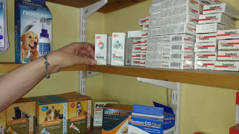 Buscan evitar venta de medicamentos para animales en locales sin veterinarios