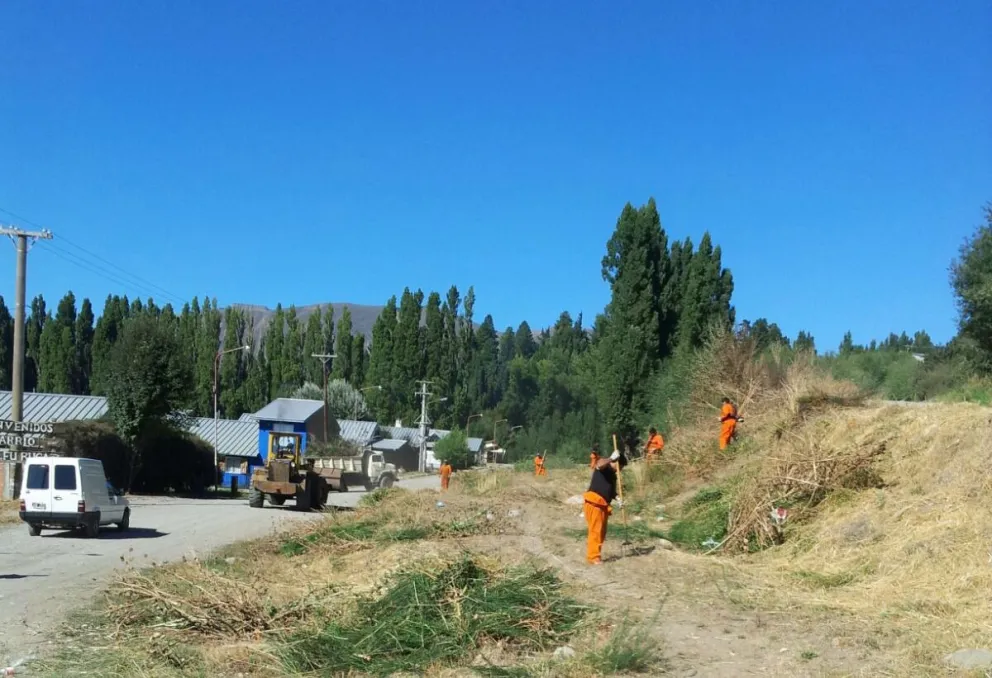 Realizan trabajos de desmalezamiento y saneamiento en la Barda