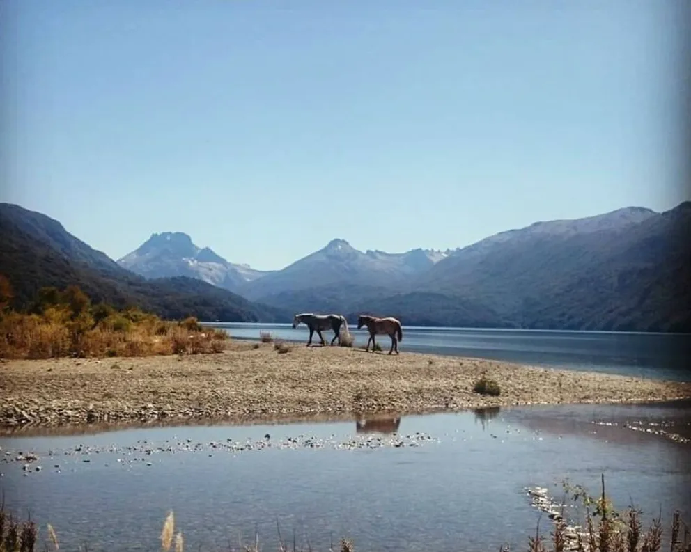 Foto: Facebook Bariloche Quiero Estar Ahí.