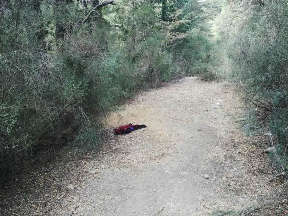 Foto: Gentileza