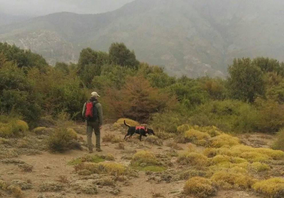 Con lluvia, continúan los rastrillajes por Micaela