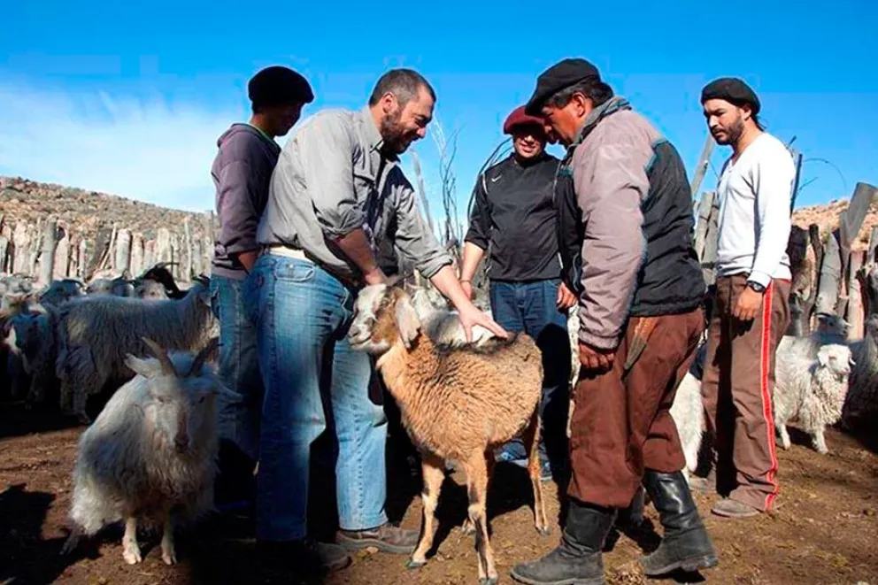 Foto: Página web Desarrollo Social. 