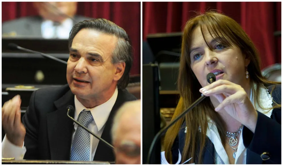 Odarda y Pichetto, entre los 10 senadores “más laboriosos del 2015"