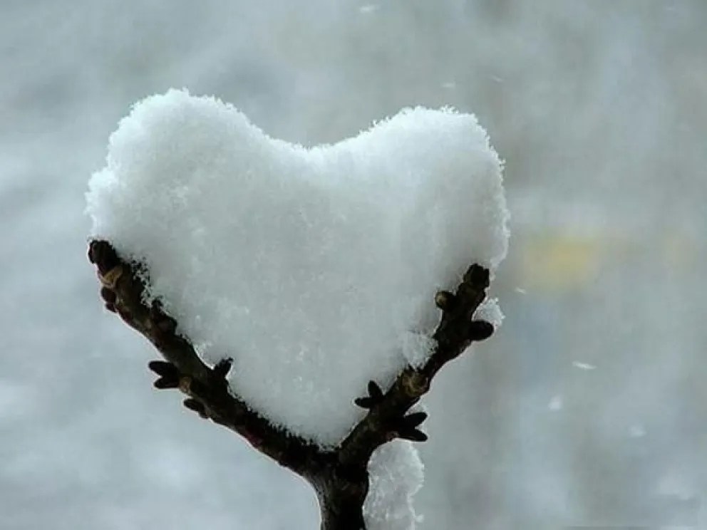 ¿Qué es el Amor? Parte I