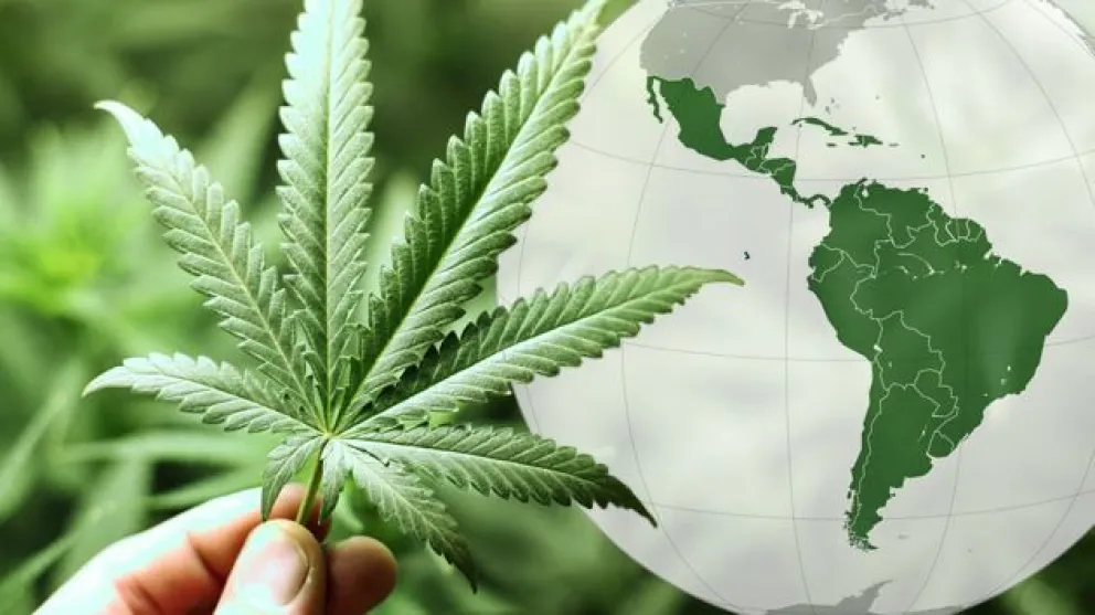 Realizarán conferencias sobre el uso medicinal de la marihuana