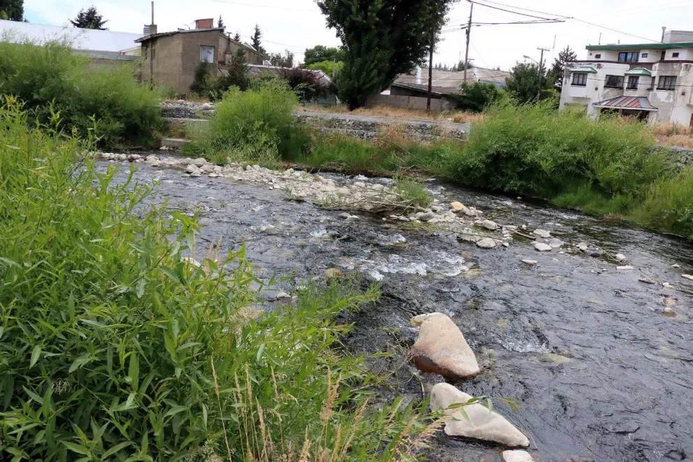 Continúan las gestiones para la recuperación de la cuenca del Ñireco